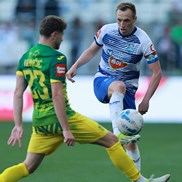 galleryimg39733