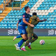 galleryimg39962